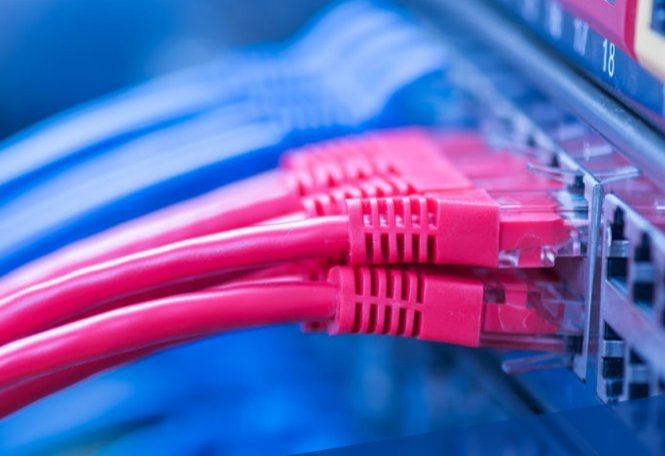 Network patch panel with red ethernet cables